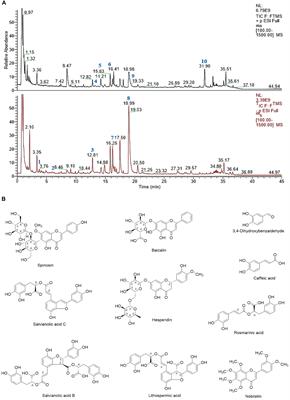 The Protective Effects of Ciji-Hua’ai-Baosheng II Formula on Chemotherapy-Treated H22 Hepatocellular Carcinoma Mouse Model by Promoting Tumor Apoptosis